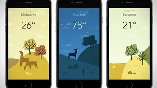 Wild Weather screenshot