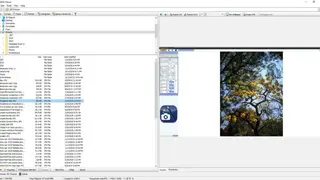 WildBit Viewer screenshot