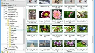 WildBit Viewer screenshot