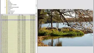 WildBit Viewer screenshot