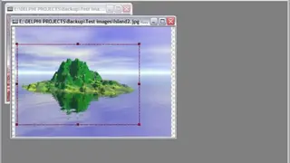 WildBit Viewer screenshot