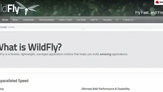 WildFly screenshot