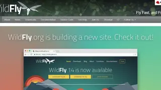 WildFly screenshot