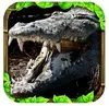 Wildlife Simulator: Crocodile