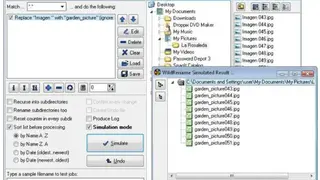 WildRename screenshot