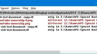 WinDiff screenshot