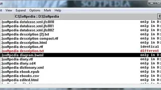 WinDiff screenshot