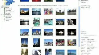 Windows Live Photo Gallery screenshot