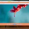 Windows Photo Viewer