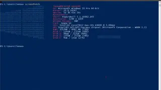 Windows ScreenFetch screenshot