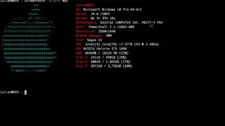 Windows ScreenFetch screenshot
