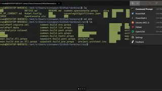 Windows Terminal screenshot