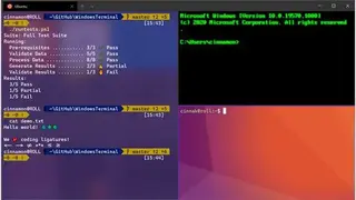 Windows Terminal screenshot