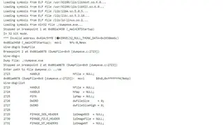 Winedbg screenshot