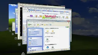Winflip screenshot