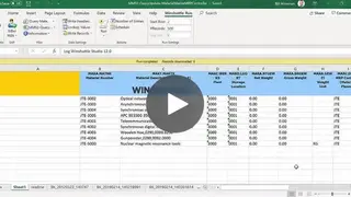 Winshuttle screenshot