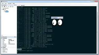 WinSSHTerm screenshot