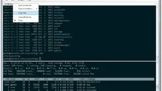 WinSSHTerm screenshot