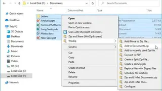 WinZip screenshot