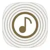 Wireless Audio-Multiroom