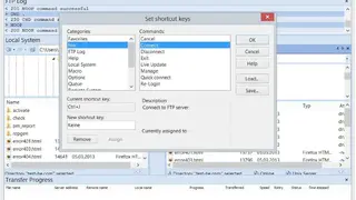 WISE-FTP screenshot