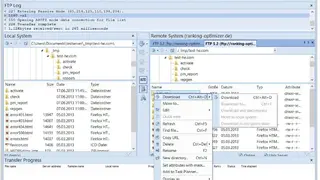 WISE-FTP screenshot