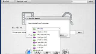 Wise Youtube Downloader screenshot
