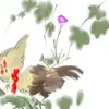 Wizardbrush