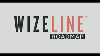Wizeline screenshot