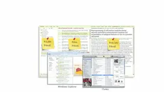 WizFolio screenshot