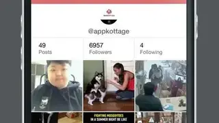 WizPost – Repost Photo & Video screenshot