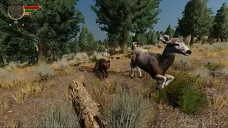 Wolfquest: Anniversary Edition screenshot