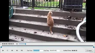 WonderFox HD Video Converter Factory screenshot