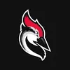 Woodpecker