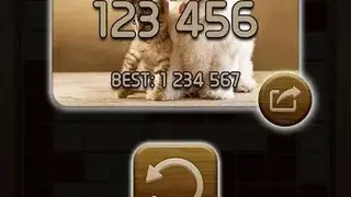 Woody Block Puzzle screenshot
