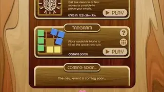 Woody Block Puzzle screenshot