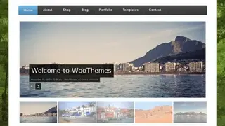 WooThemes screenshot