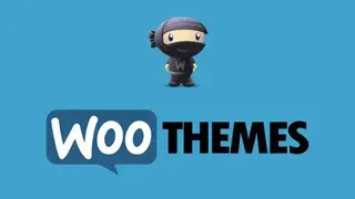 WooThemes screenshot