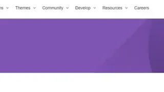 WooThemes screenshot