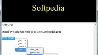 WordFlashReader screenshot