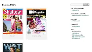 WordPress Flash Page Flip screenshot