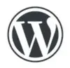 WordPress Theme Detector and Plugins Detector