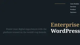 WordPress VIP screenshot