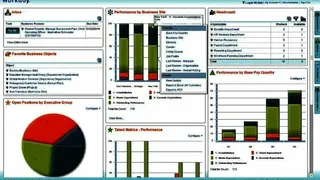 Workday HCM screenshot