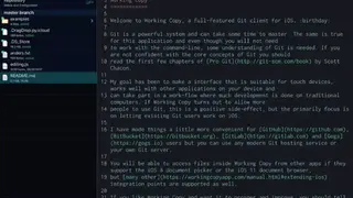 Working Copy screenshot