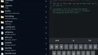 Working Copy screenshot