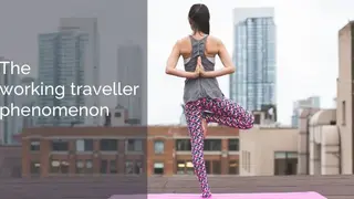 Working Traveller screenshot