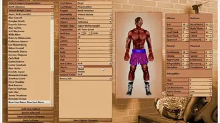 World Boxing Manager screenshot