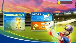 World Cricket 2017 screenshot