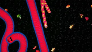 Worms Zone.io: Voracious Snake screenshot